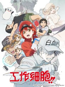 Hataraku Saibou: Temporada 2