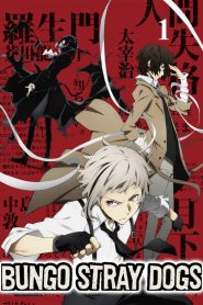 Bungou Stray Dogs: Temporada 1