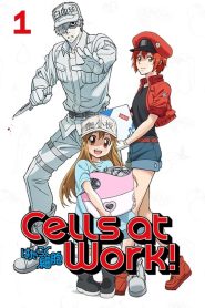 Hataraku Saibou: Temporada 1