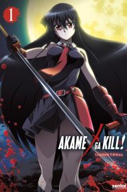 Akame ga Kill: Temporada 1