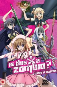 Kore wa Zombie Desu ka?: Temporada 1