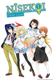 Nisekoi: Temporada 1