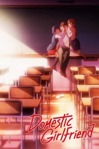 Domestic na Kanojo: Temporada 1