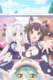 Nekopara: Temporada 1