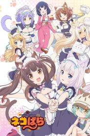 Nekopara