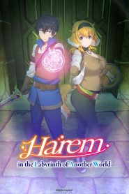 Isekai Meikyuu de Harem wo: Temporada 1