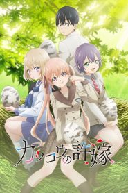 Kakkou no Iinazuke: Temporada 1