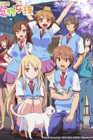 Sakurasou no Pet na Kanojo: Temporada 1