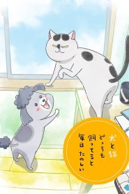 Inu to Neko Docchi mo Katteru to Mainichi Tanoshii: Temporada 1