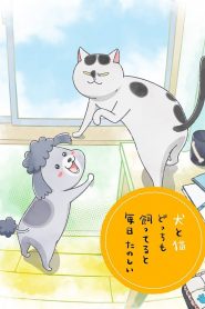 Inu to Neko Docchi mo Katteru to Mainichi Tanoshii