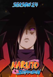 Naruto Shippuden: Temporada